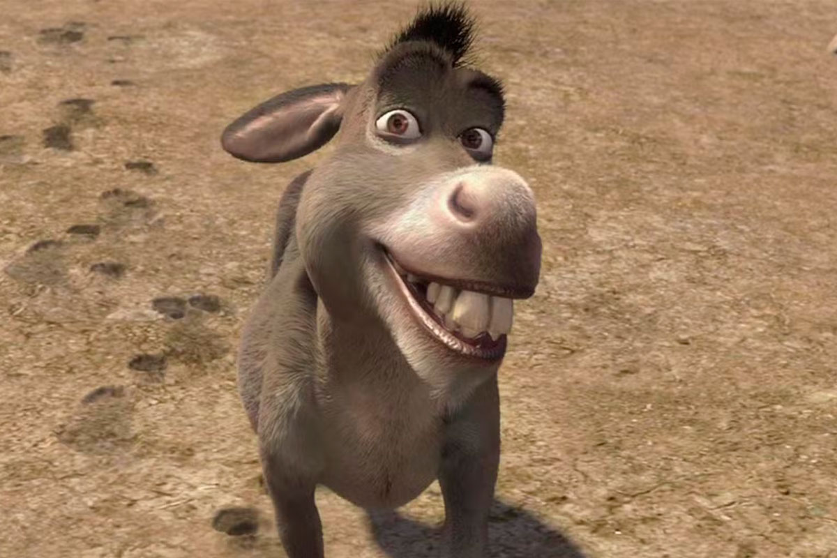 Donkey